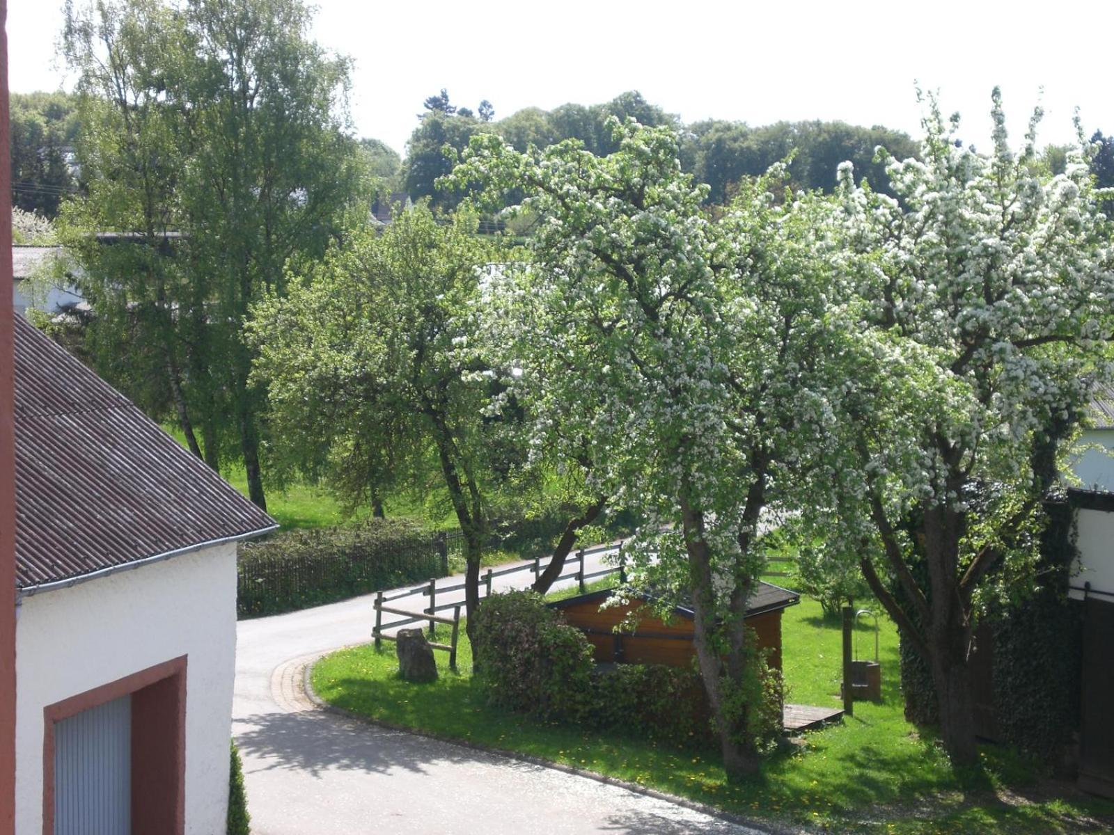 Ferienhof An Der Lay Kerpen  Экстерьер фото