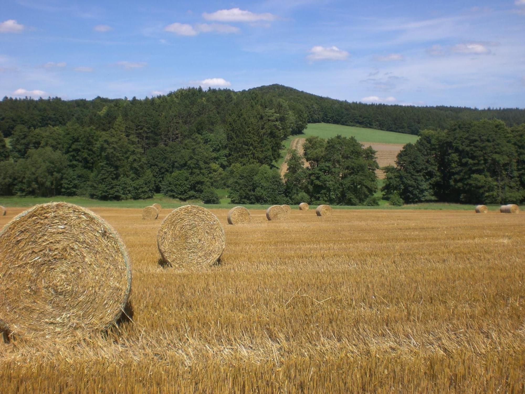 Ferienhof An Der Lay Kerpen  Экстерьер фото
