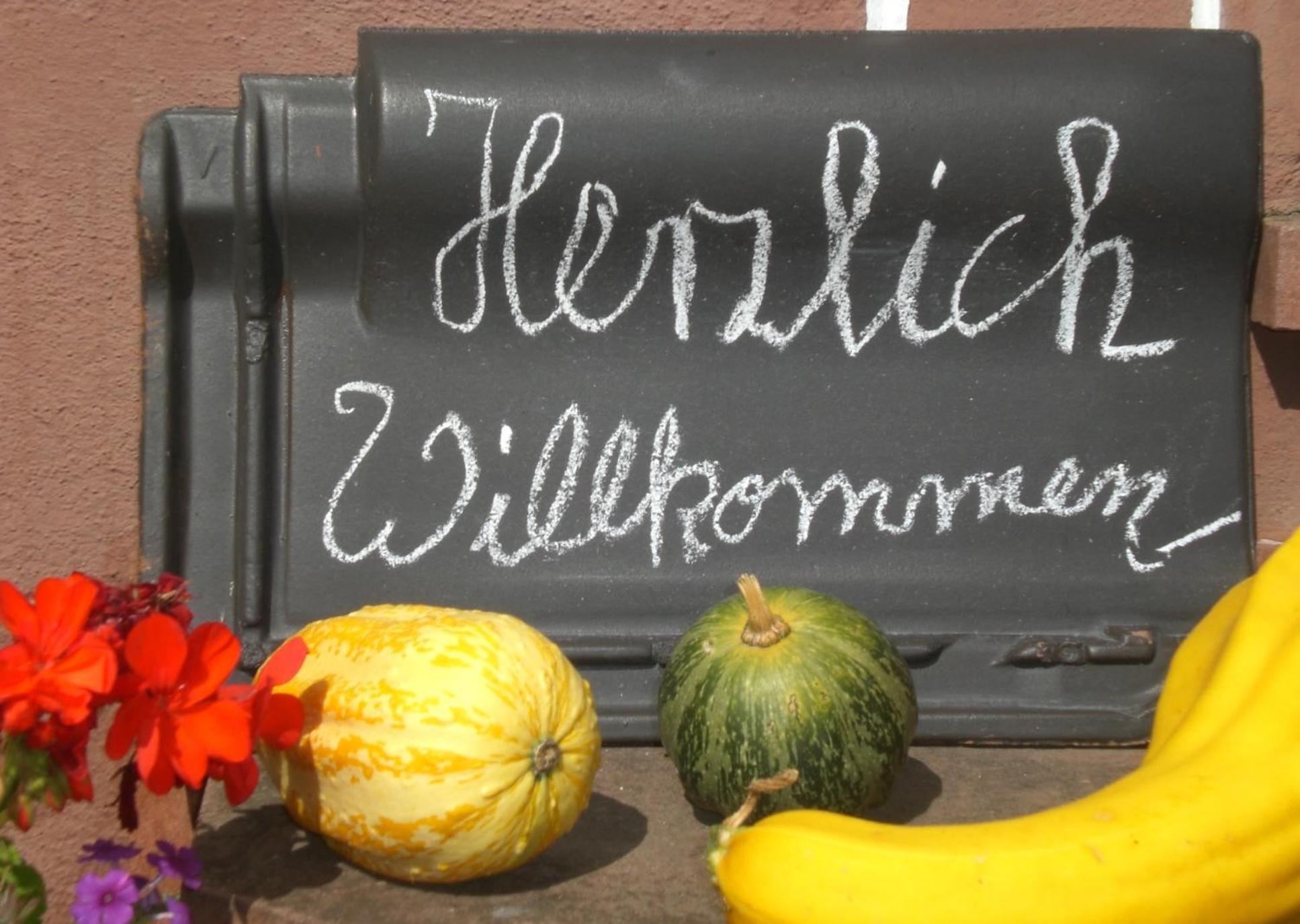Ferienhof An Der Lay Kerpen  Экстерьер фото